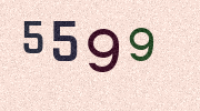 Visual Confirmation Security Code