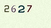 Visual Confirmation Security Code