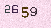 Visual Confirmation Security Code