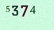 Visual Confirmation Security Code