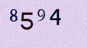 Visual Confirmation Security Code