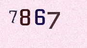 Visual Confirmation Security Code