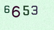 Visual Confirmation Security Code