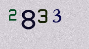 Visual Confirmation Security Code