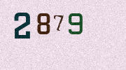 Visual Confirmation Security Code