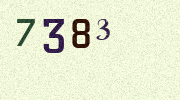 Visual Confirmation Security Code