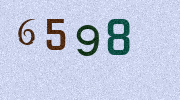 Visual Confirmation Security Code