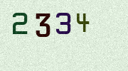 Visual Confirmation Security Code