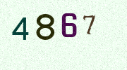Visual Confirmation Security Code
