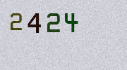Visual Confirmation Security Code