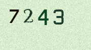 Visual Confirmation Security Code