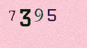 Visual Confirmation Security Code