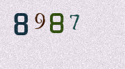 Visual Confirmation Security Code