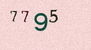 Visual Confirmation Security Code