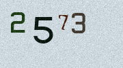Visual Confirmation Security Code