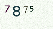 Visual Confirmation Security Code