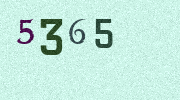 Visual Confirmation Security Code