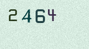 Visual Confirmation Security Code