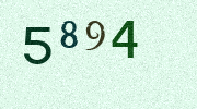 Visual Confirmation Security Code