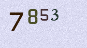 Visual Confirmation Security Code