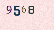 Visual Confirmation Security Code