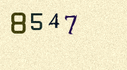 Visual Confirmation Security Code