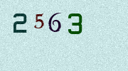 Visual Confirmation Security Code