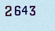 Visual Confirmation Security Code