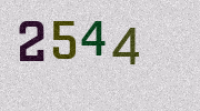 Visual Confirmation Security Code