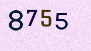 Visual Confirmation Security Code