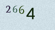 Visual Confirmation Security Code