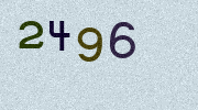 Visual Confirmation Security Code