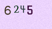 Visual Confirmation Security Code
