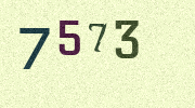 Visual Confirmation Security Code