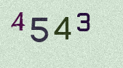 Visual Confirmation Security Code
