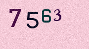 Visual Confirmation Security Code