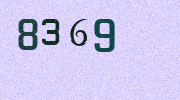 Visual Confirmation Security Code