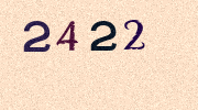 Visual Confirmation Security Code
