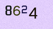 Visual Confirmation Security Code