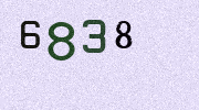 Visual Confirmation Security Code