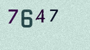 Visual Confirmation Security Code