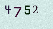 Visual Confirmation Security Code