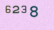 Visual Confirmation Security Code