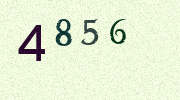 Visual Confirmation Security Code