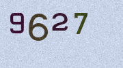 Visual Confirmation Security Code