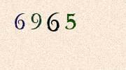 Visual Confirmation Security Code