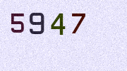 Visual Confirmation Security Code