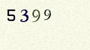Visual Confirmation Security Code