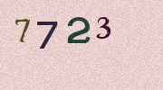 Visual Confirmation Security Code