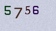 Visual Confirmation Security Code